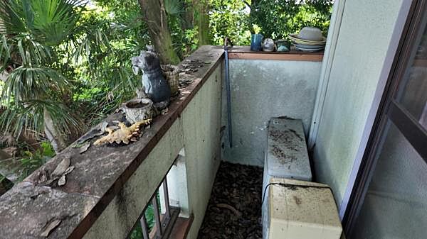 バルコニーを拡大表示