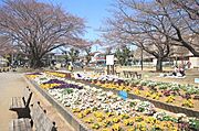 徒歩2分（130ｍ）藁田島公園です。