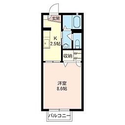 アガパンサス