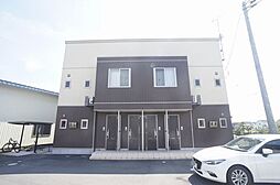 セルシャンプＡ