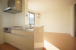 メゾン　ド　ソーレ 00102 1階1LDKの室内