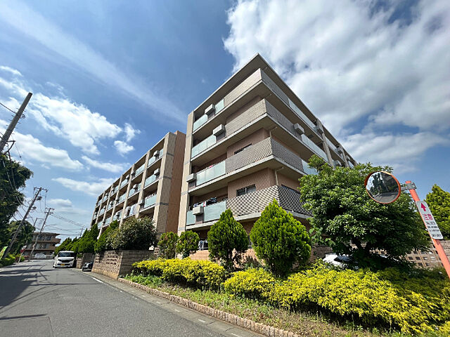 3 / 17