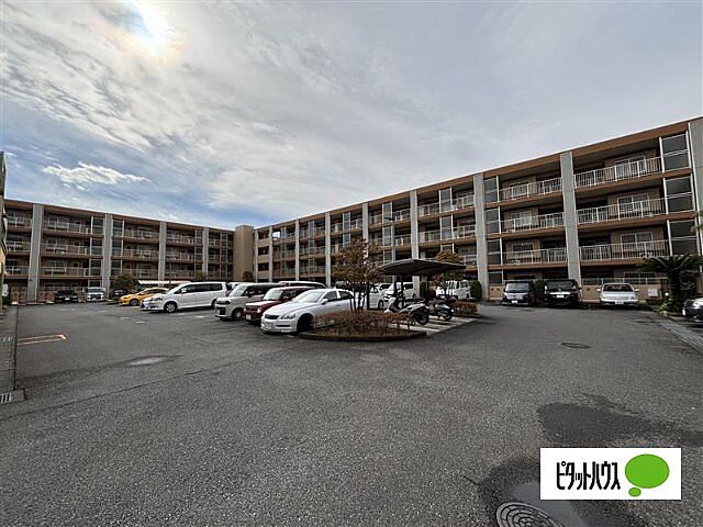 その他 ダイアパレスコータ・コートサウス・ウエスト 1階/-