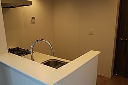 セレスティア豊島S 301