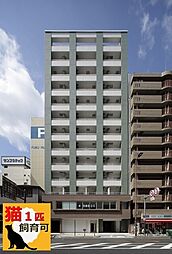 エルコンテント