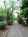 公園「大島緑道...