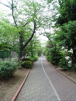 公園「大島緑道...