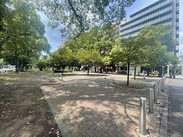 周辺を拡大表示