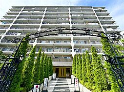 宇喜田カメリア