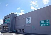 その他「ニトリまで800m」