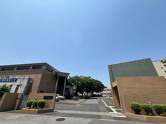大学「私立開智...