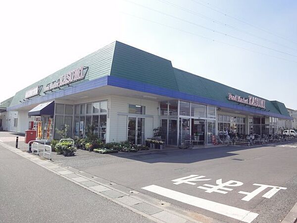 画像24:【スーパー】（株）カスミ 杉戸店まで1491ｍ