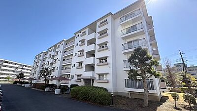 外観:外観 外観:外観