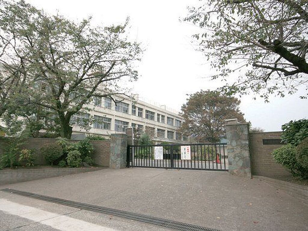 Image 9