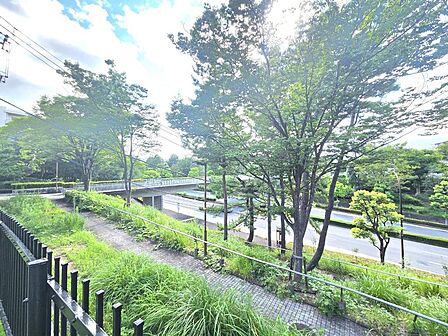 道路側も明るく、周辺環境が整っています。