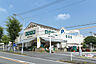 周辺：ジャパンミート卸売市場東浦和店