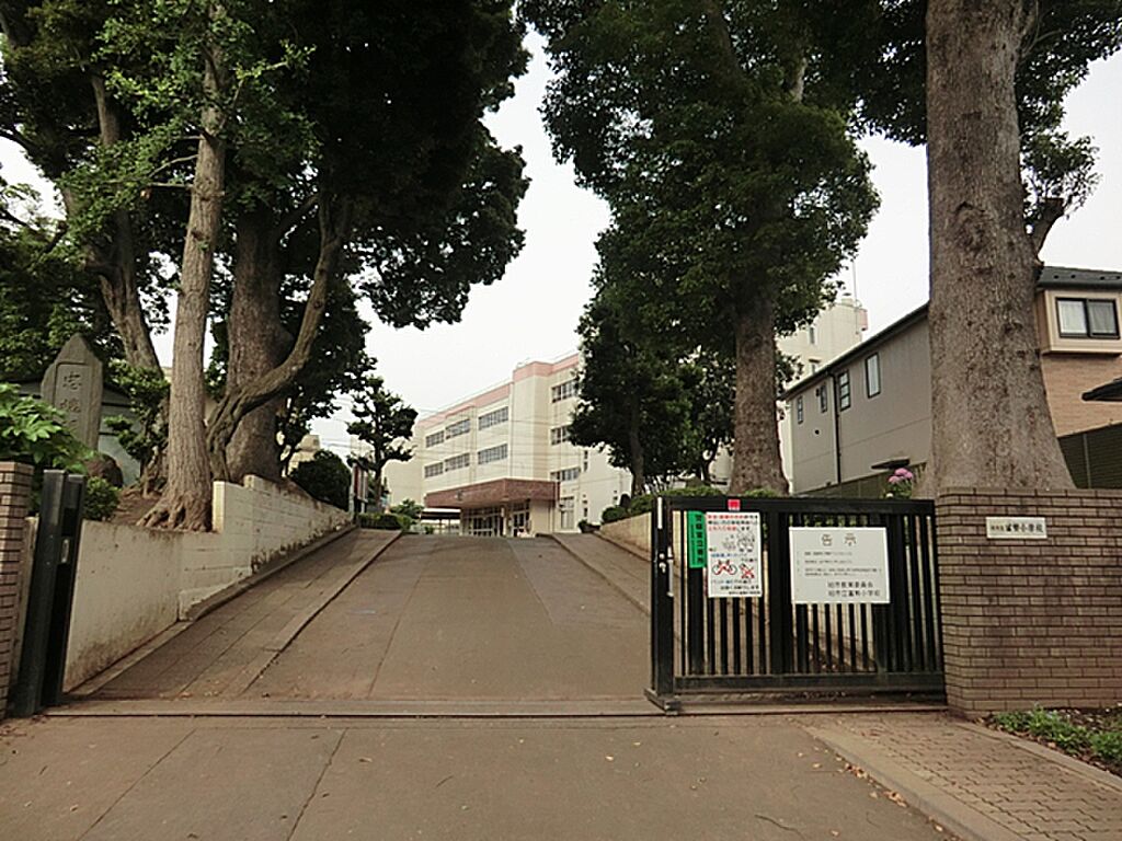 Image 2