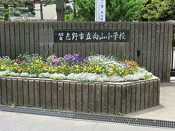 習志野市立向山...