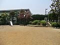 大谷田公園：2...