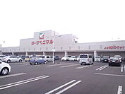ダイソーヨークベニマル岩沼店まで1、023ｍ