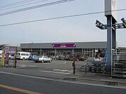 カンセキ雀宮店まで739ｍ