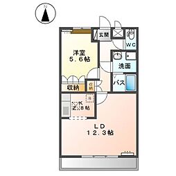 スカイヒルズ　Ｃ 1階1LDKの間取り