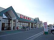 とりせん下田島店まで1、711ｍ