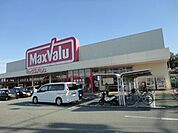 マックスバリュ岡田店まで1、079ｍ