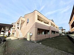 ピュアフェリシス 101