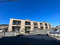 モンシェリカメリアII