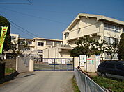 福岡市立和白小学校まで559ｍ