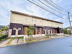 シャーメゾン　ウイングスター