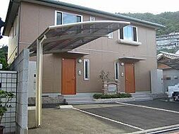 パルモ・スター