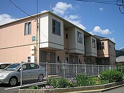 シーナ大洲