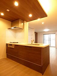 アンビエラ柳丸 A0301