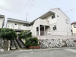 タウニィ・ほととぎす