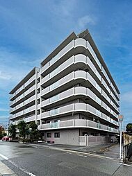 メディオグリシーナＦ