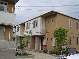 フローラルのがみ 0206