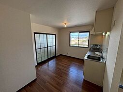 エピーメロン B203