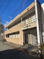 フラットコート中島