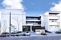 クリザンテーム