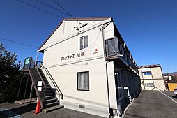 フレグランス桔梗