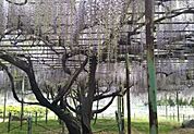 国分寺史跡公園（701m）