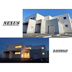 NEXUS
