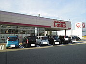 その他「しまむら 丸岡店まで350m」