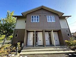 ＳｈａＭａｉｓｏｎ Ｍｉｃｋｅｙ 201