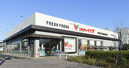 コモディイイダ赤塚新町店(311m)