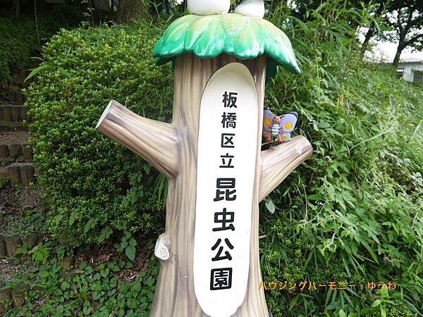 周辺を拡大表示