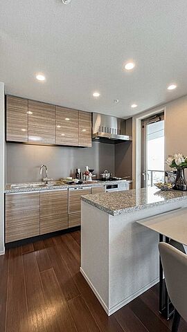 キッチン ザ・パークハウス西新宿タワー60 29階/-