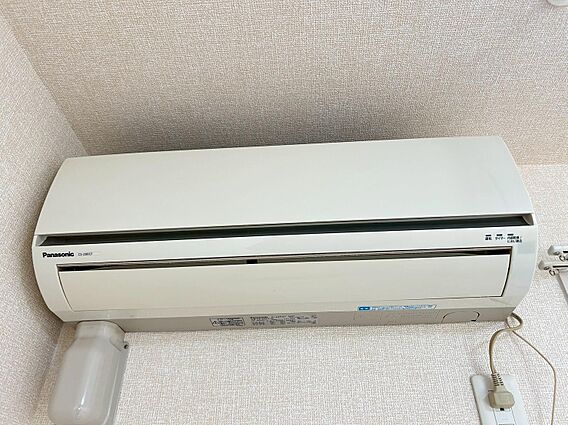 エバーグリーン_その他_1